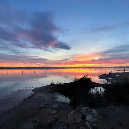 Superior La Playa! 3 Bedrooms! 2 Baths! Air Condition! Side Sea View! * 托雷维耶哈